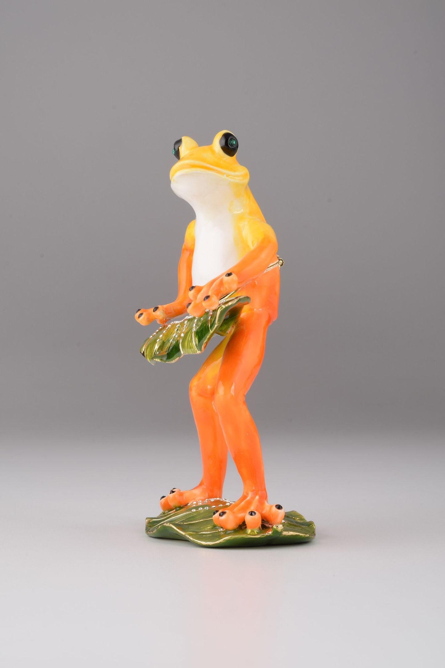 Frog Playing on Keyboards Orchid Menoetius
