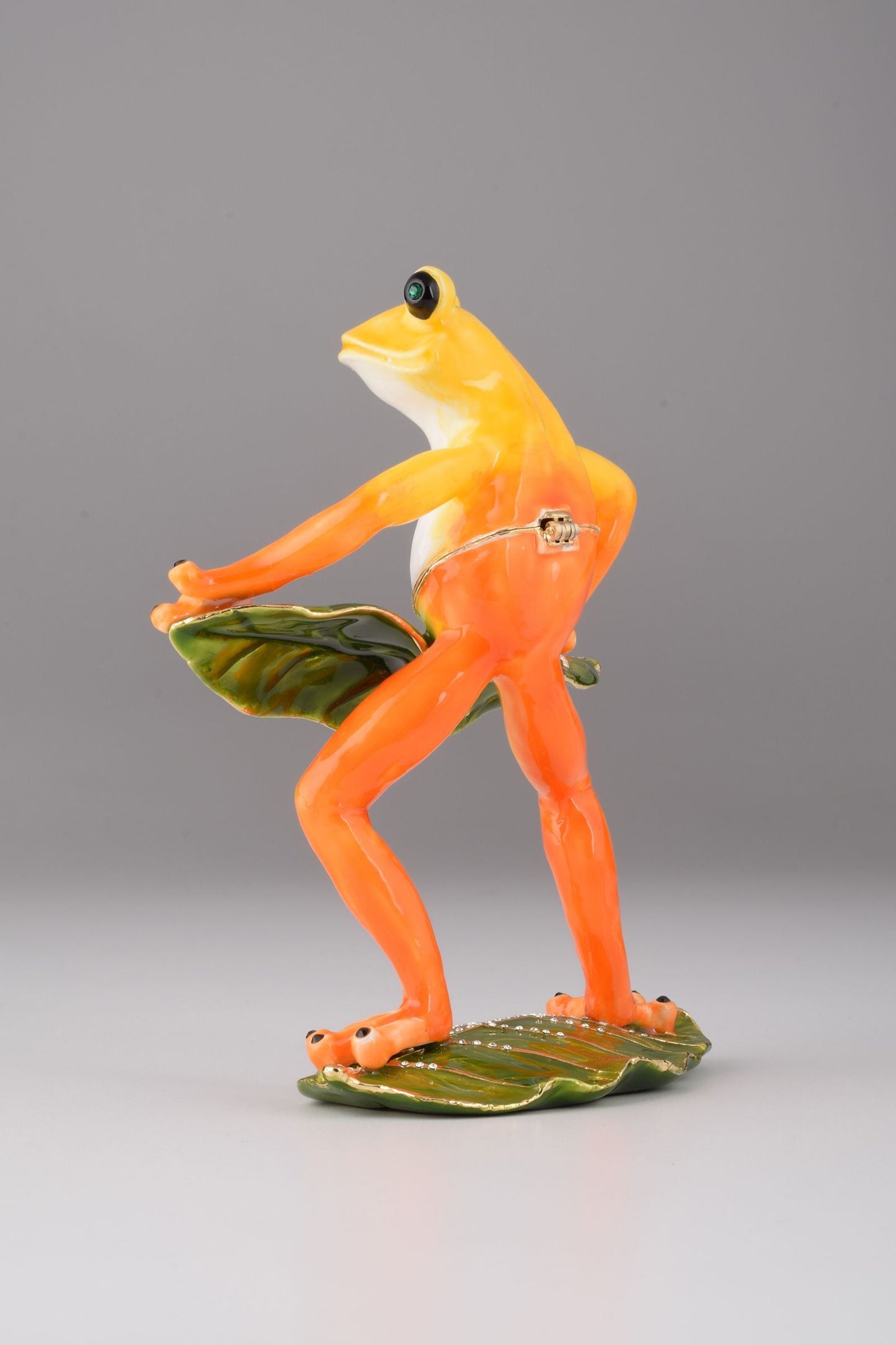 Frog Playing on Keyboards Orchid Menoetius