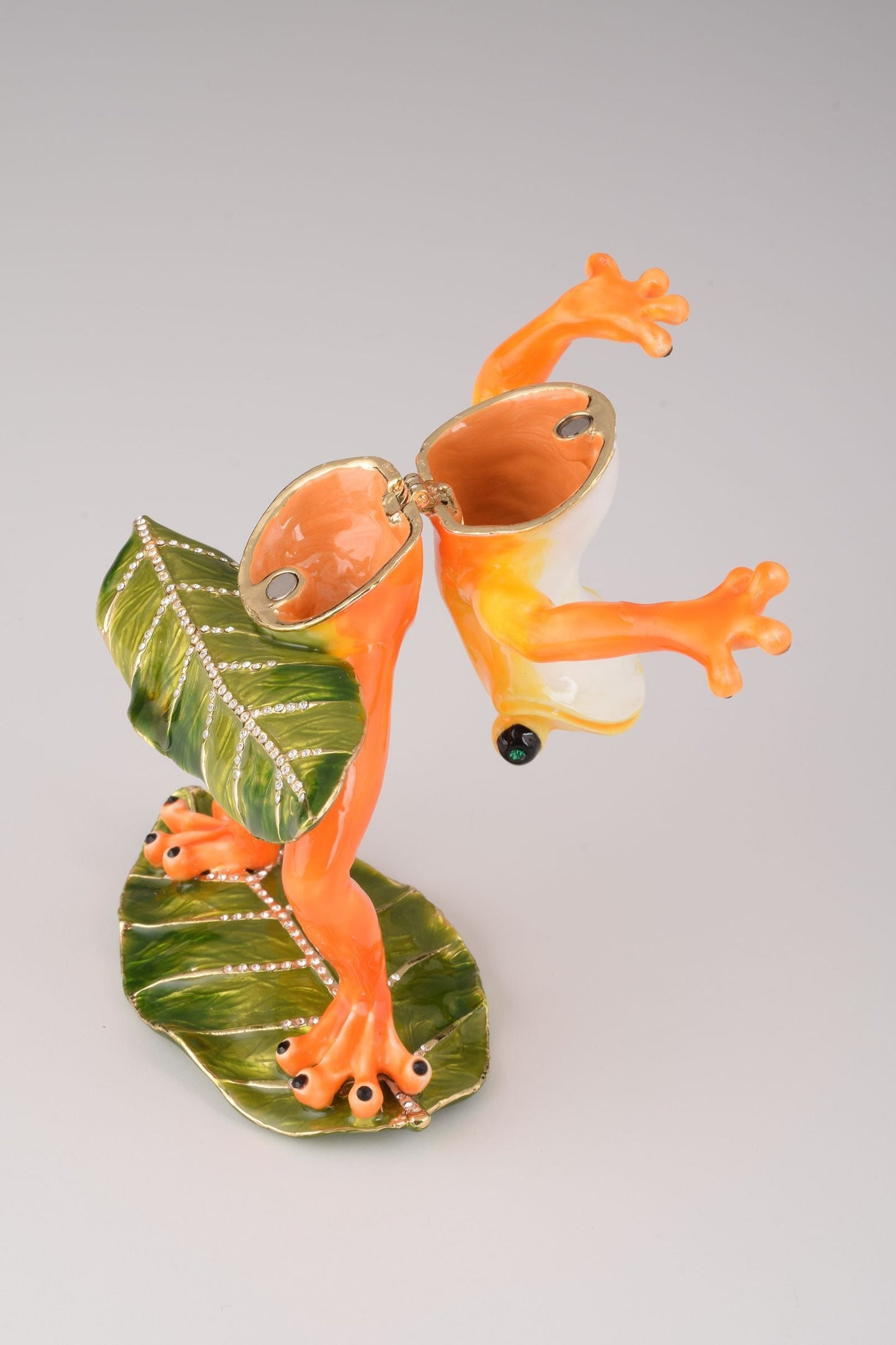 Frog Playing on Keyboards Orchid Menoetius