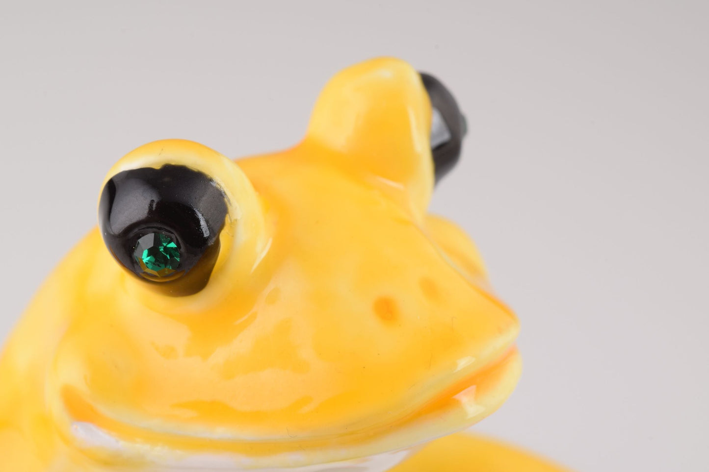 Frog Playing on Keyboards Orchid Menoetius